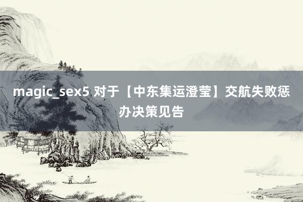 magic_sex5 对于【中东集运澄莹】交航失败惩办决策见告
