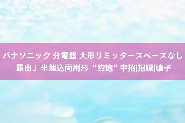 パナソニック 分電盤 大形リミッタースペースなし 露出・半埋込両用形 “约炮”中招|招嫖|骗子