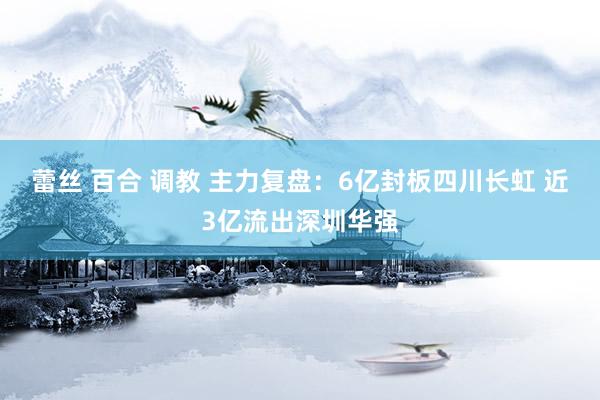 蕾丝 百合 调教 主力复盘：6亿封板四川长虹 近3亿流出深圳华强