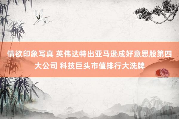 情欲印象写真 英伟达特出亚马逊成好意思股第四大公司 科技巨头市值排行大洗牌