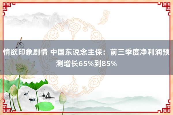 情欲印象剧情 中国东说念主保：前三季度净利润预测增长65%到85%