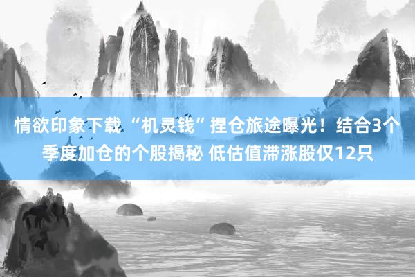 情欲印象下载 “机灵钱”捏仓旅途曝光！结合3个季度加仓的个股揭秘 低估值滞涨股仅12只