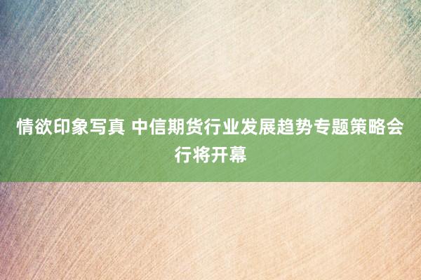 情欲印象写真 中信期货行业发展趋势专题策略会行将开幕