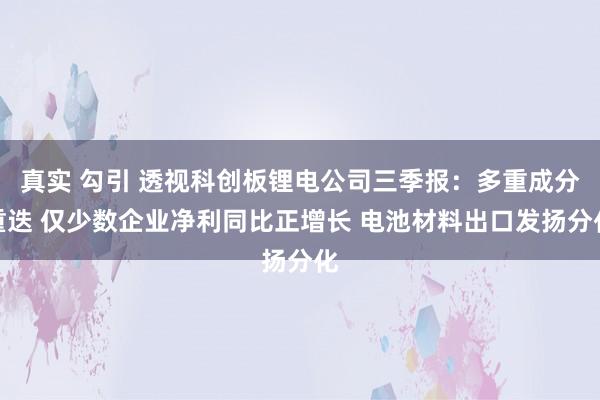 真实 勾引 透视科创板锂电公司三季报：多重成分重迭 仅少数企业净利同比正增长 电池材料出口发扬分化