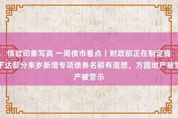 情欲印象写真 一周债市看点｜财政部正在制定提前下达部分来岁新增专项债券名额有遐想，方圆地产被警示