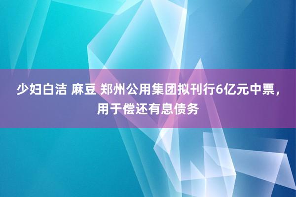 少妇白洁 麻豆 郑州公用集团拟刊行6亿元中票，用于偿还有息债务