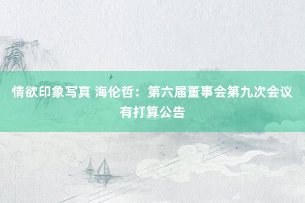 情欲印象写真 海伦哲：第六届董事会第九次会议有打算公告
