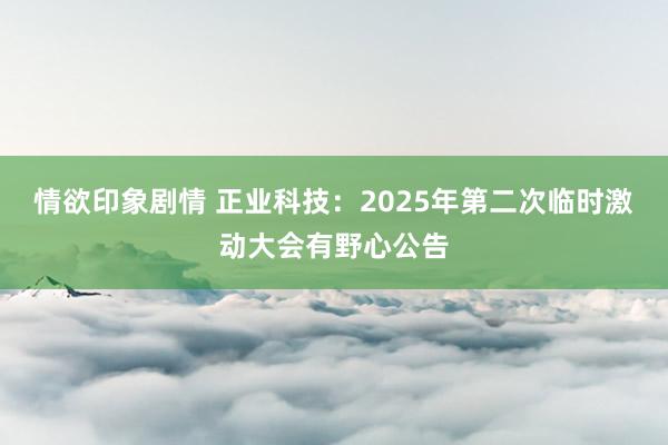 情欲印象剧情 正业科技：2025年第二次临时激动大会有野心公告