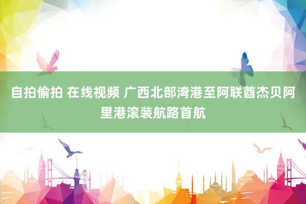 自拍偷拍 在线视频 广西北部湾港至阿联酋杰贝阿里港滚装航路首航