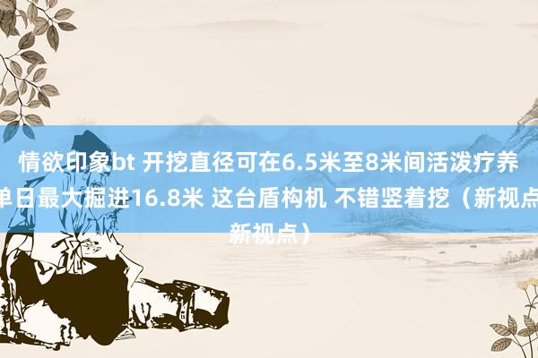 情欲印象bt 开挖直径可在6.5米至8米间活泼疗养 单日最大掘进16.8米 这台盾构机 不错竖着挖（新视点）